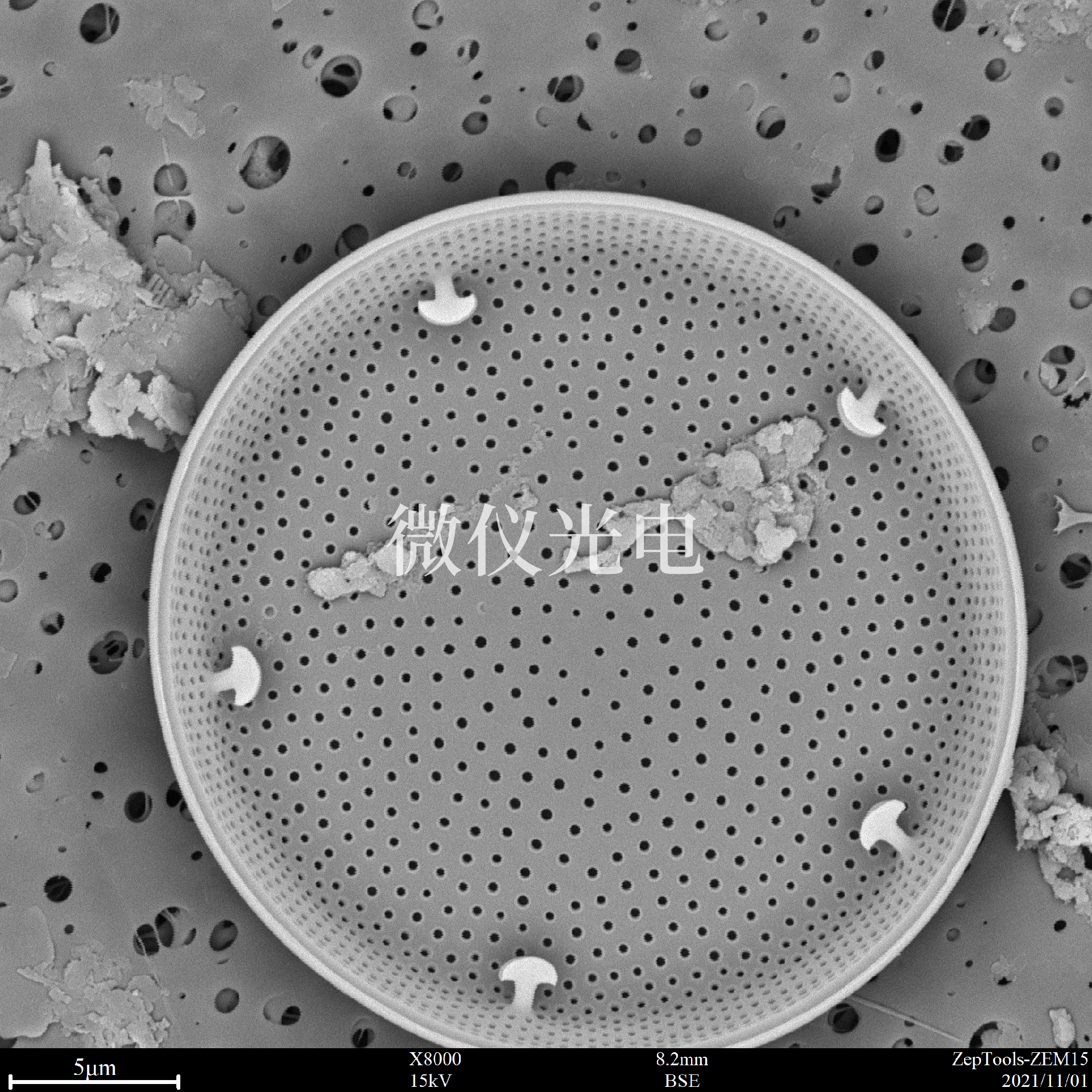 1663560350197096.png 1663560350197096.png